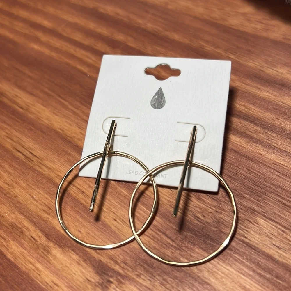 Goldtone Beatrice Hoop Earring - Picture 4 of 9